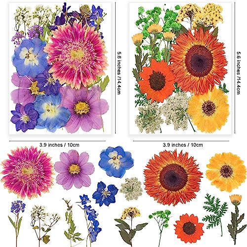 Image of 122PCS Large Nature Dried Pressed Flowers for Resin Mold, Real Dry Pressing Floral with Butterfly Transparent Stickers Set for DIY Jewelry Making Nail Card Scrapbook Art Craft Love Parade