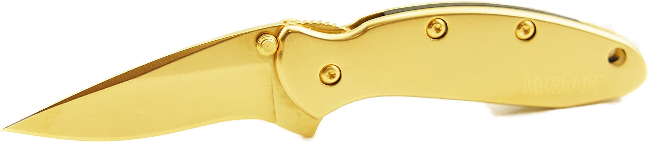 Kershaw Scallion 1620 Assisted Opening Pocket Knife, Plain Edge, Satin 24k Gold Finish
