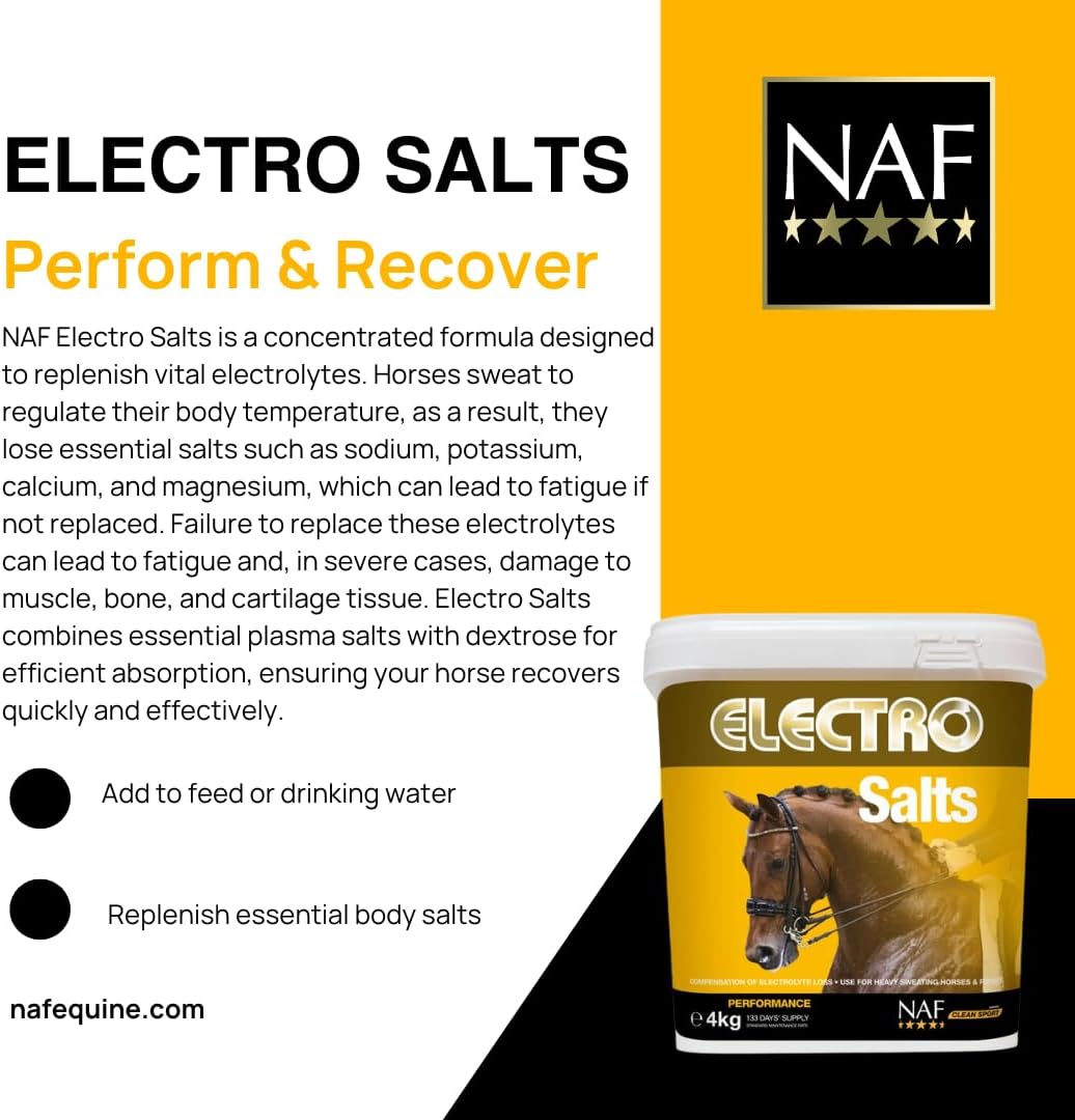 Electro Salts 1 Kg