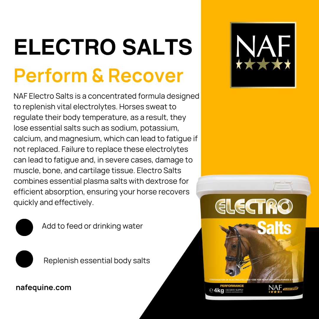 Naf Electro Salts 1 kg