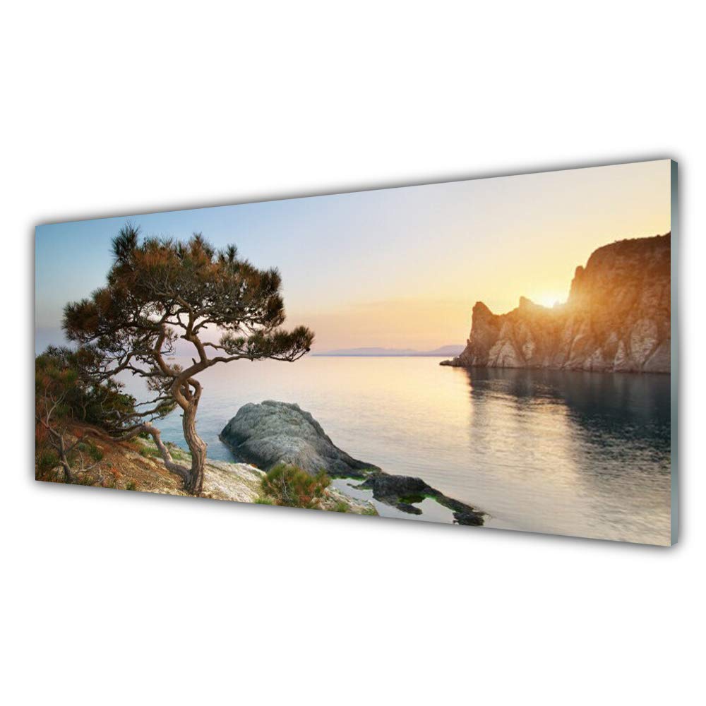 Tableau sur Verre Trempé Tulup 125x50 cm pour un Salon Moderne Style Nature
