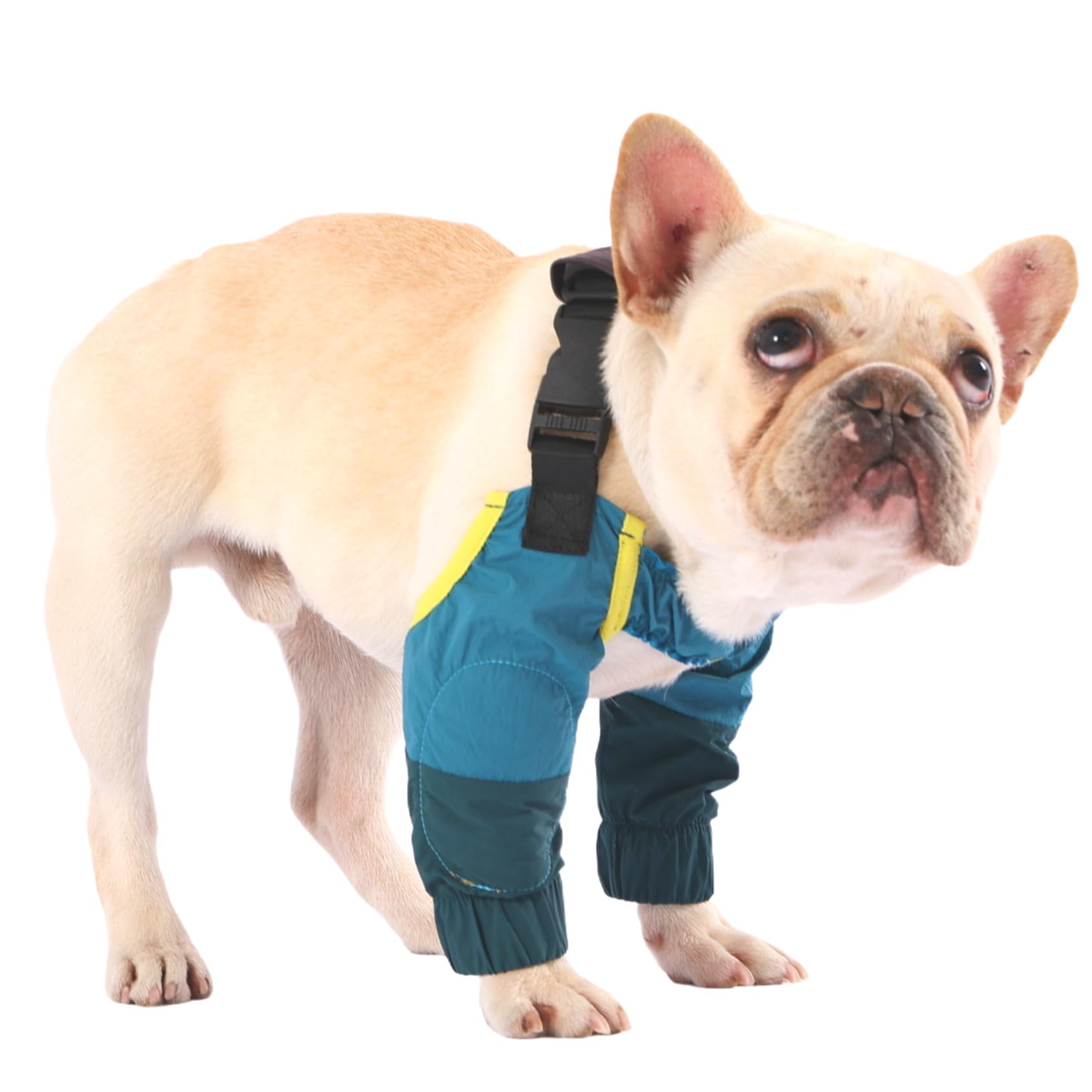Manchons de jambe pour chien vert XL protections pour sorties extérieures sous la pluie