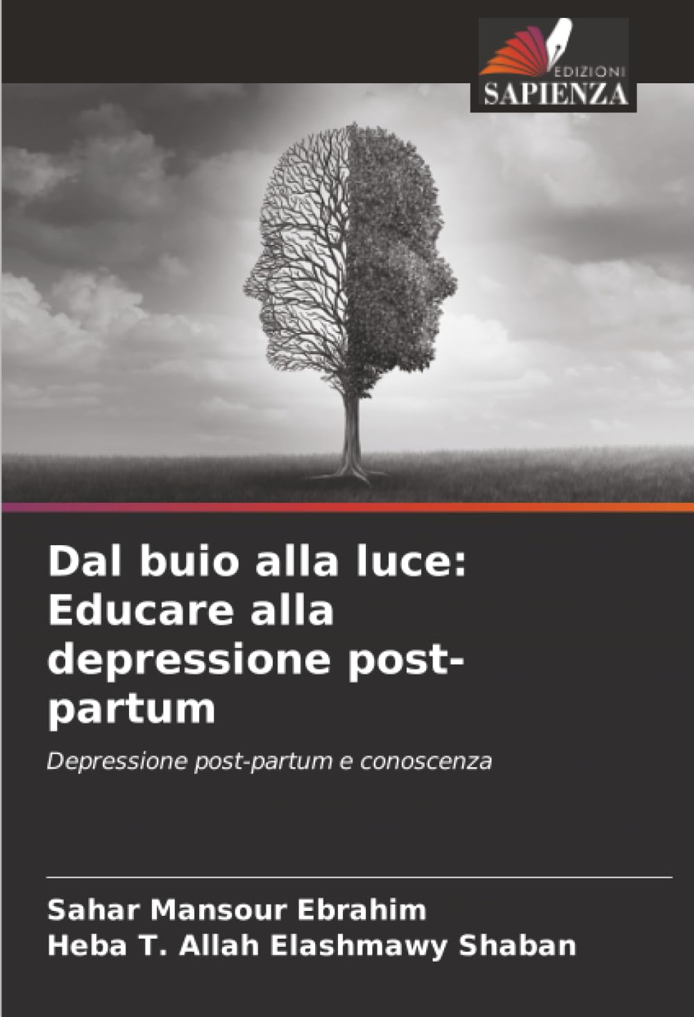 Dal buio alla luce: Educare alla depressione post-partum: Depressione post-partum e conoscenza