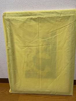 Amazon.co.jp: 貴重 限定価格 藤田嗣治 レオナールフジタ 花を持つ少女