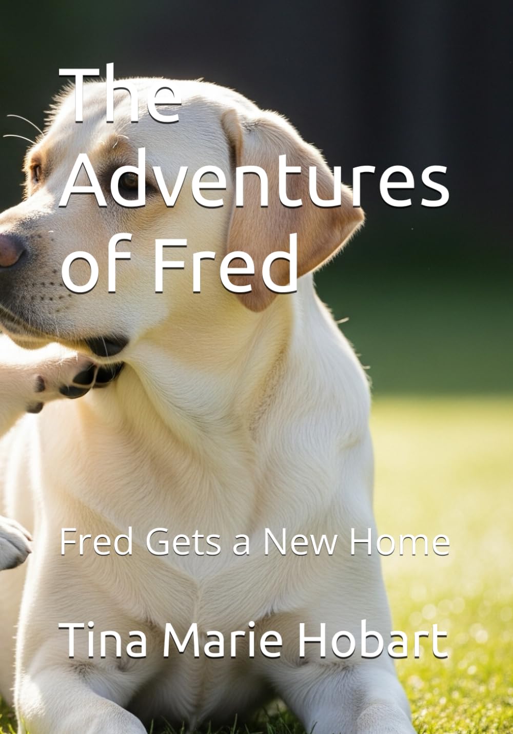 The Adventures of Fred: Fred Gets a New Home