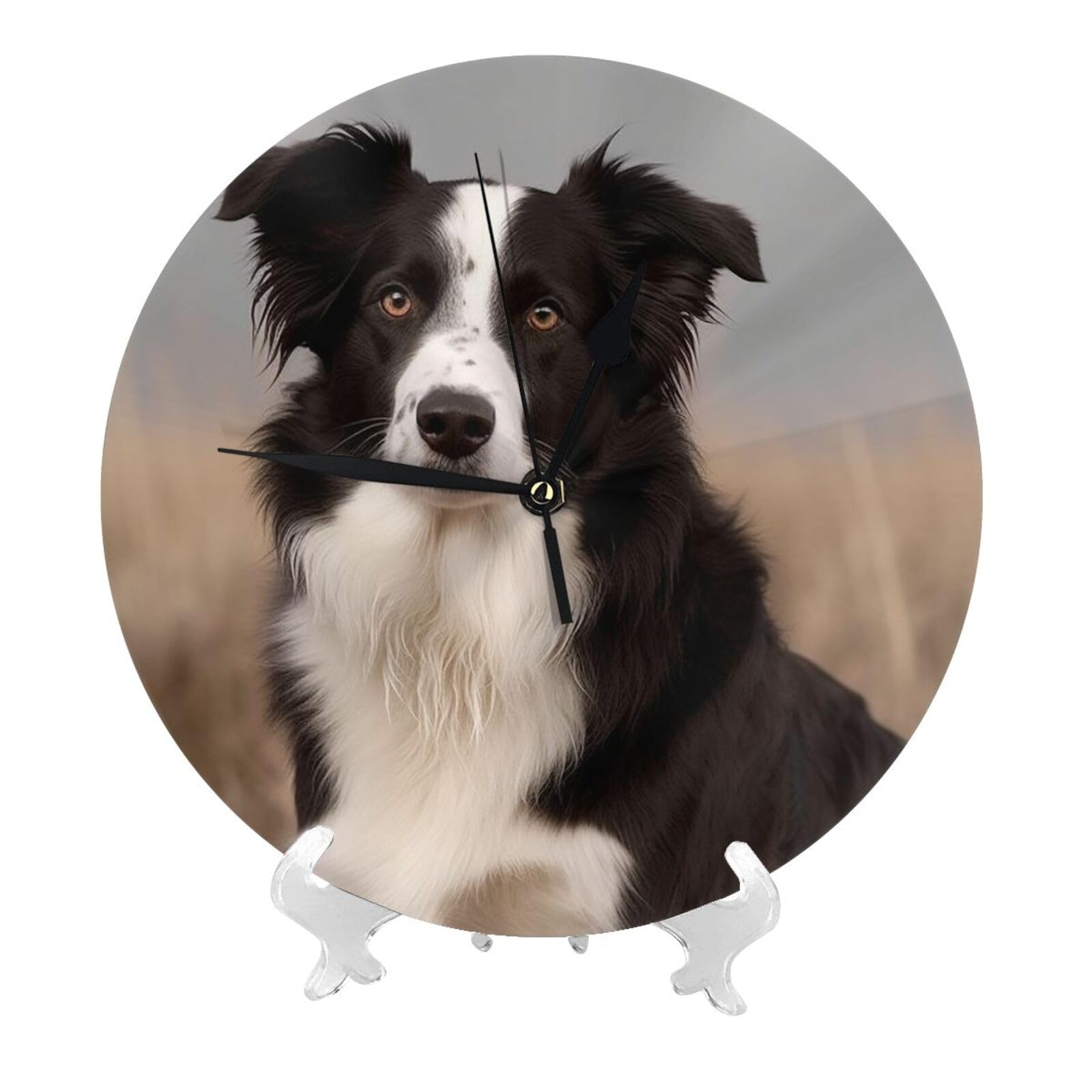 Fjwslch White Border Collie Wall Clock For Living Room Modern Wall Clocks Non-Ticking Silent Round Clock Battery Operated Kitchen Clock Decorative Office Clock Easy To Read