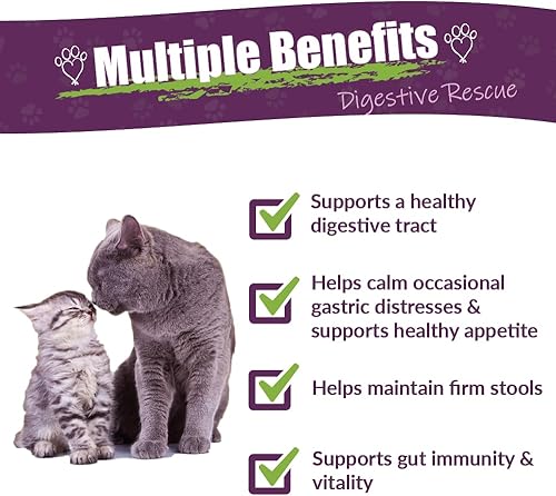 Miniatura 2 de Kitty-DT Botanical para mascotas-Soporte Digestivo para Felines1 oz