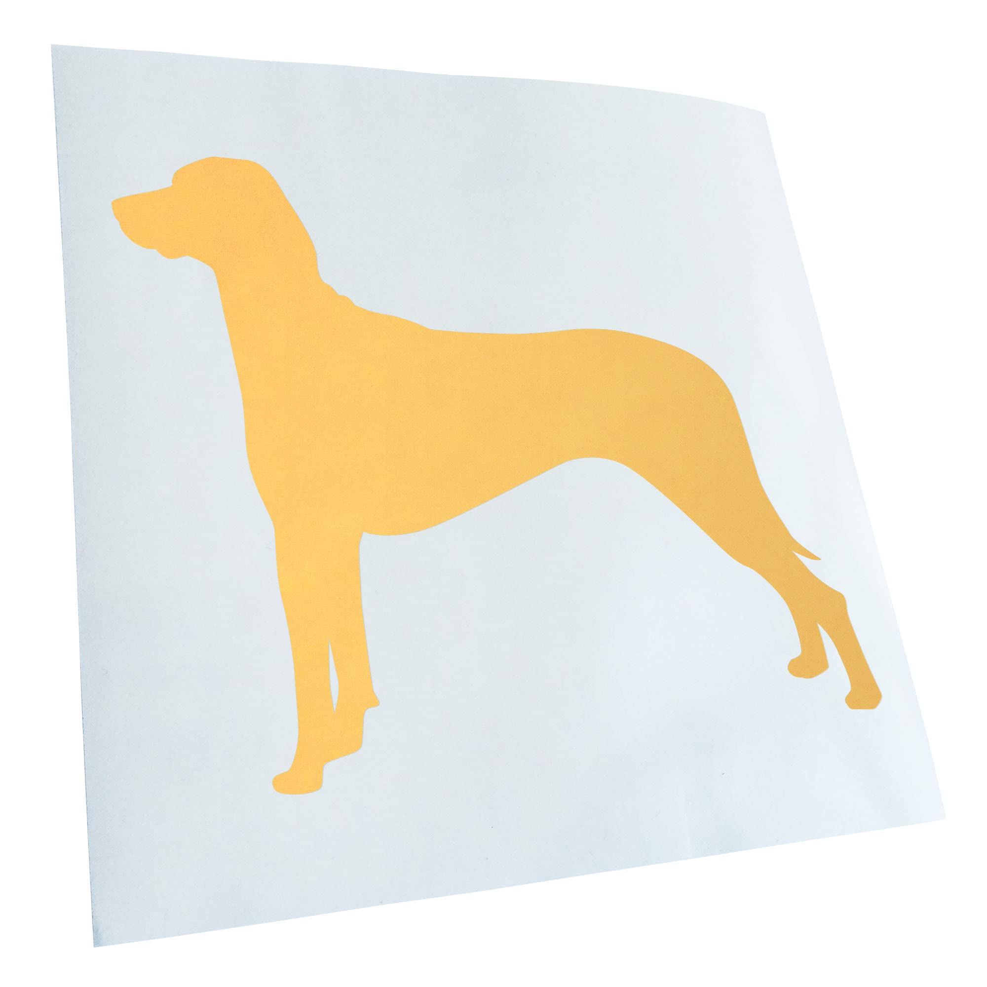 Kiwistar - Car Sticker - Cream - 40 x 33 cm Ridgeback Rhodesian Dog - Rear Window Car Sticker Weatherproof for Car Truck Moped Truck - Sticker Exterior Self-Adhesive Tuning Accessories for Window