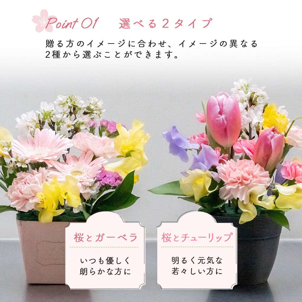 Amazon｜【5月1日(金)から5月14日(木)はお届け不可となります】桜
