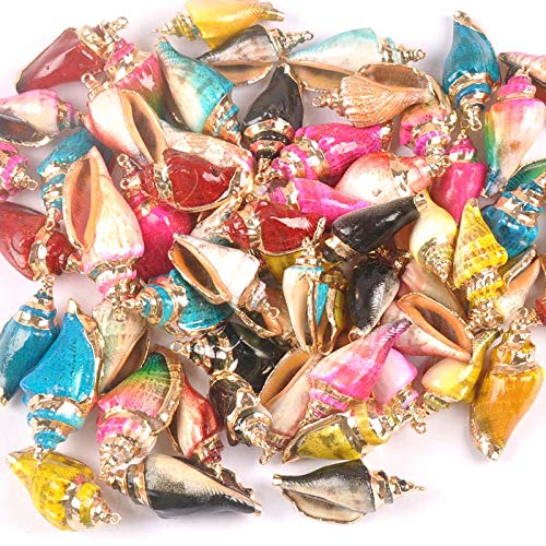 Accessoires d'artisanat coquillages de mer dorés pour loisirs - 3