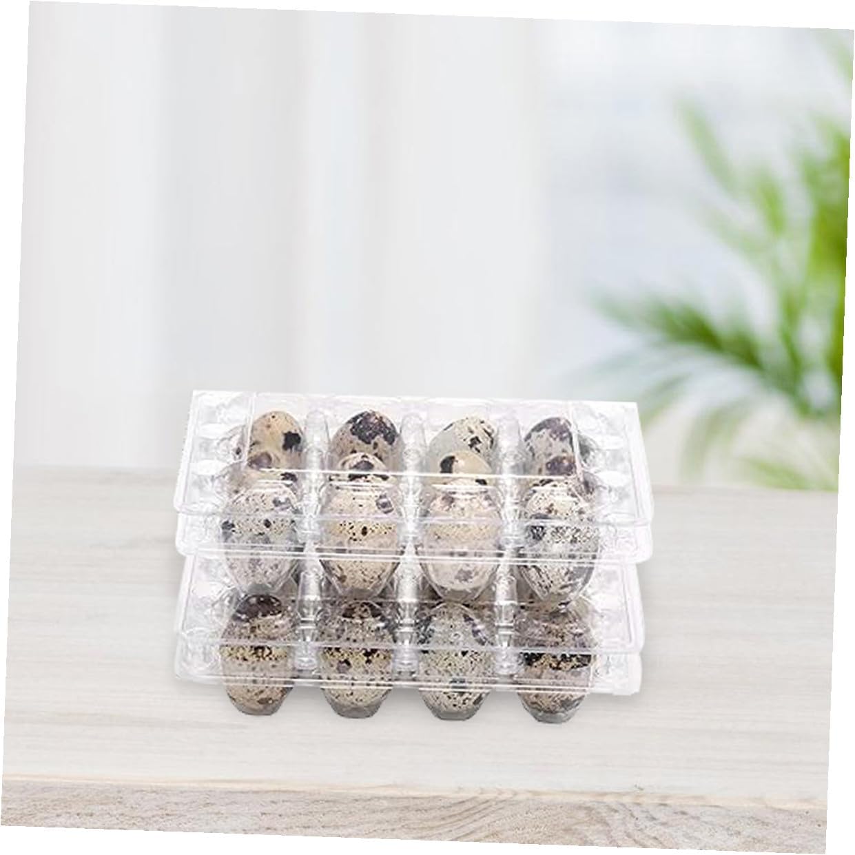 DOITOOL 70pcs Quail Egg Cartons Plastic Tray Egg Storage Container 12 Grids Holder Box for Convenient Access and Foodgrade Material Suitable for Home Kitchens