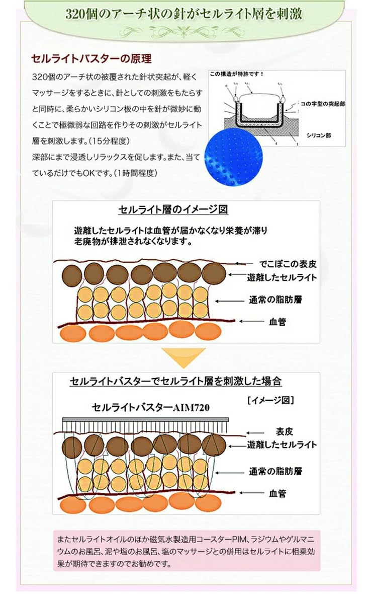 Amazon.co.jp: Cellulite Buster L (Large) Cellulite Control Diet