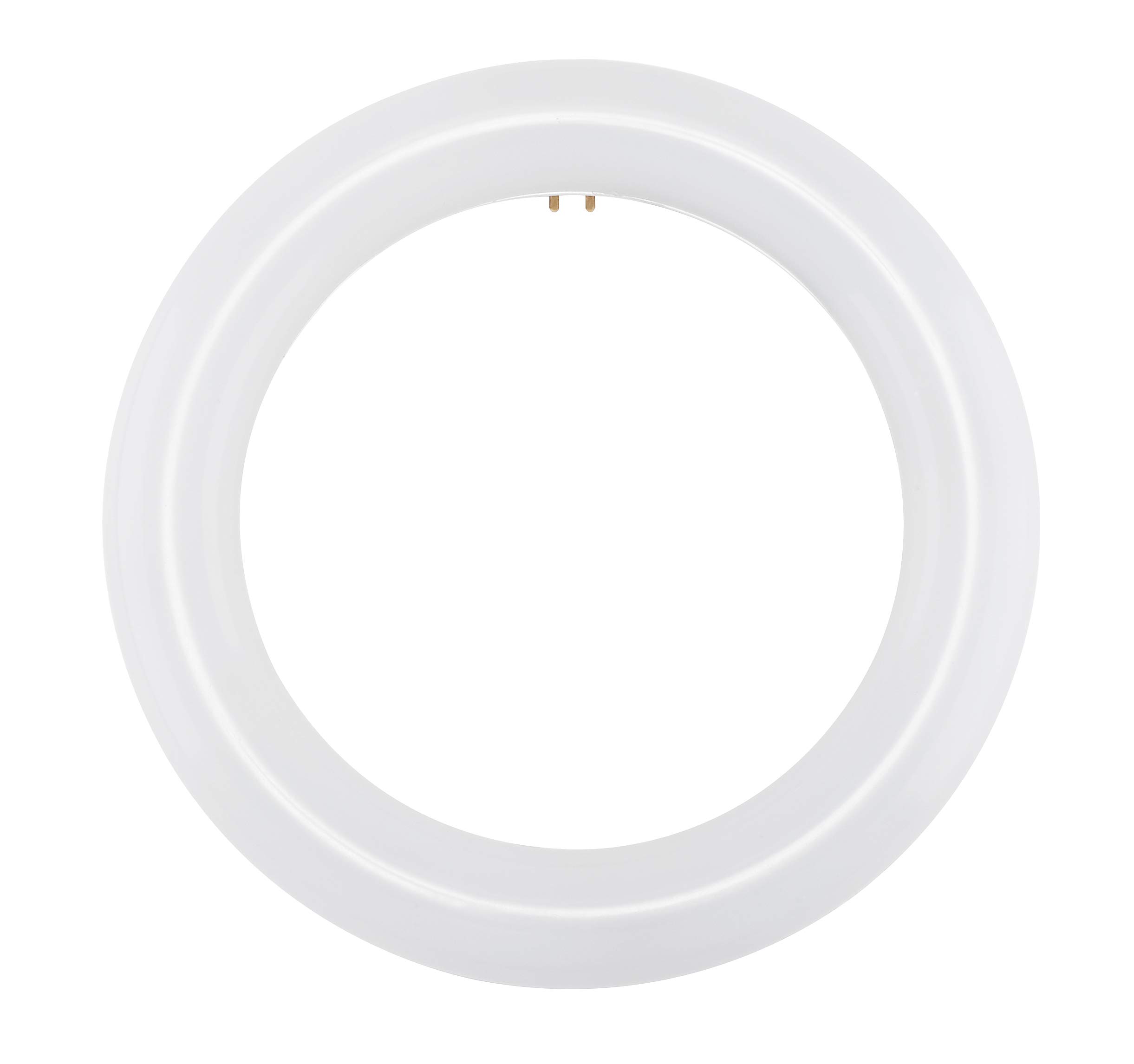 Satco S16501 FC8T9/LED/CIR/840/BP - Amazon.com