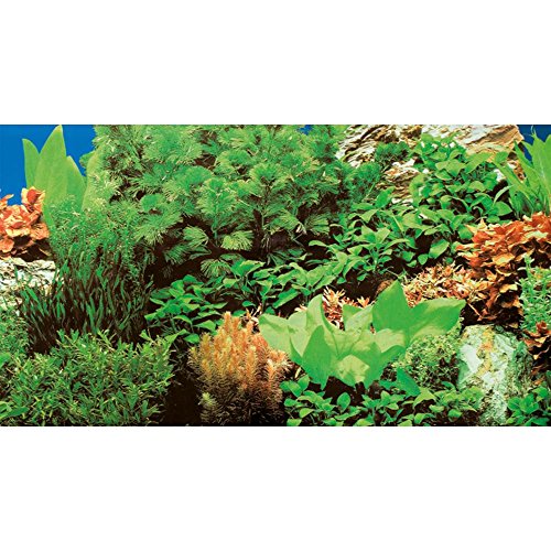 Hobby 31137 - Ritaglio per Foto, Motivo Piante 8