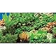 Hobby 31136 Fotorückwandzuschnitt Pflanzen 8, marin blau