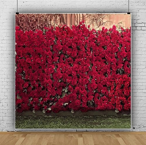 Fondo Fotográfico Vinilo Rojo 2.5x2.5 m AOFOTO miniatura 4