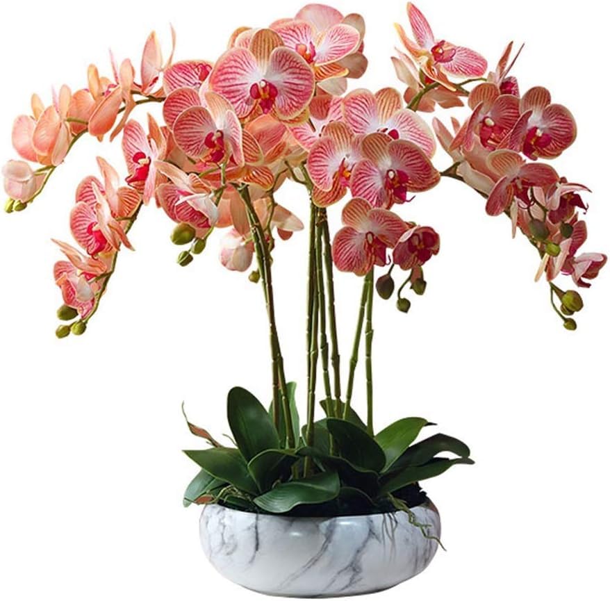 Fleurs phalaenopsis artificielles pour grand bonsaï de salon 60cm