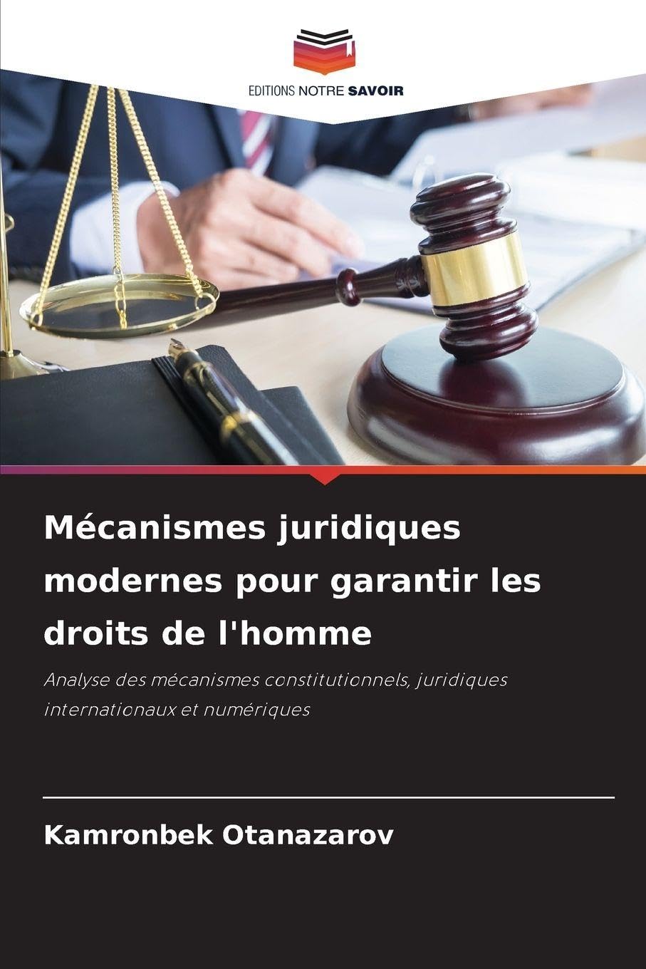 Mécanismes juridiques modernes pour garantir les droits de l'homme: Analyse des mécanismes constitutionnels, juridiques internationaux et numériques
