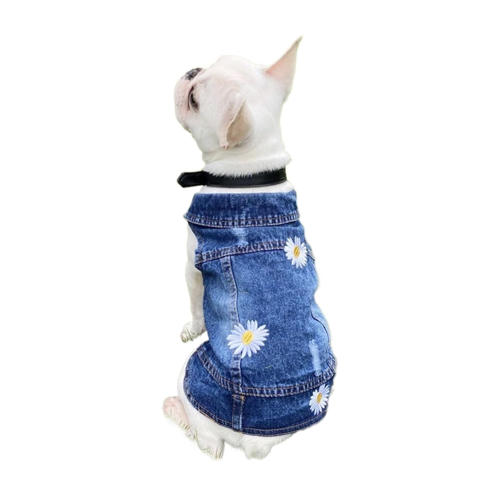 Manteau en jean pour chien de petite et moyenne taille, veste de cowboy élégante avec bretelles réglables, gilet mignon pour animal de compagnie pour chiens et chats, tailles XS à 2XL, tenue en jean