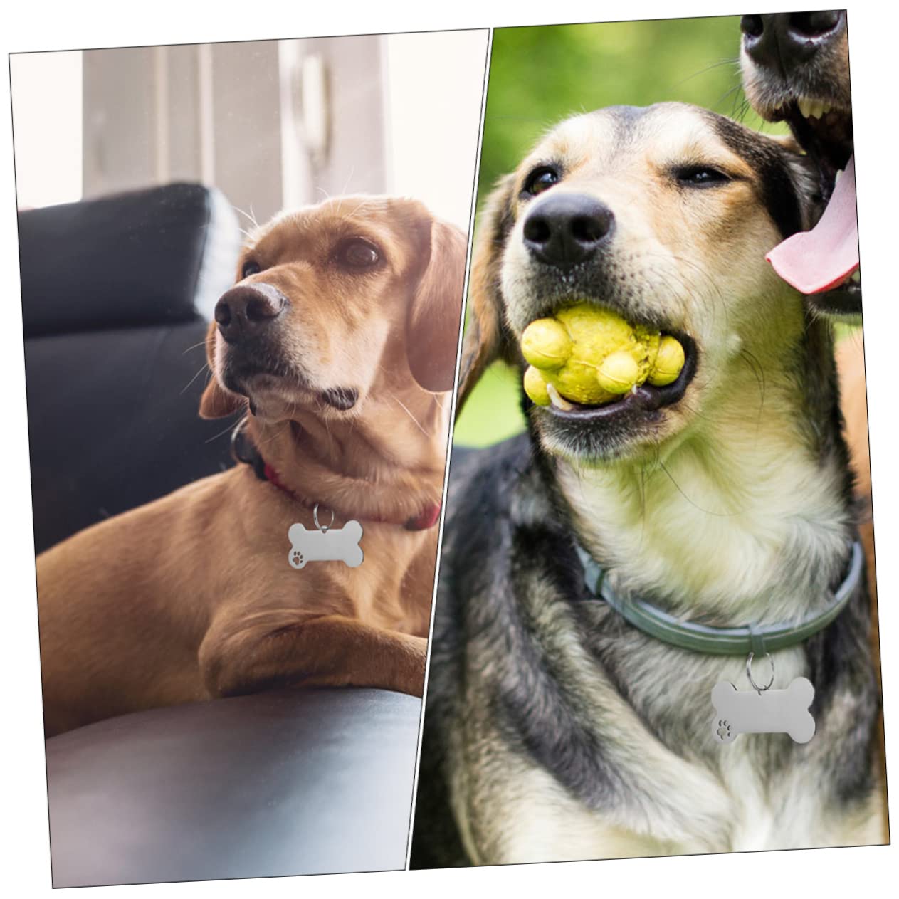 Kisangel 30pièces Médailles Identification pour Chiens Pendentifs Gravés Inoxydable pour Collier De Chiot Et Id Animaux