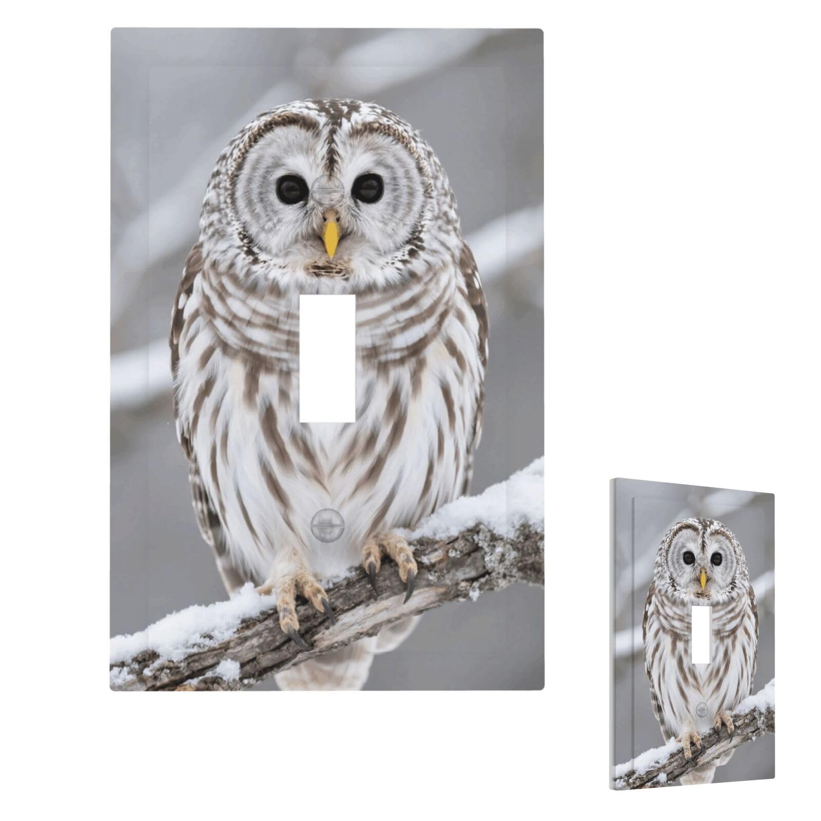 Curious Barred Owl Closeup Wall Plate Cover Modern Decorative 1 Gang Light Switch Cover Unbreakable Receptacle Outlet Covers For Living Room Bedroom Home Decor Single Toggle