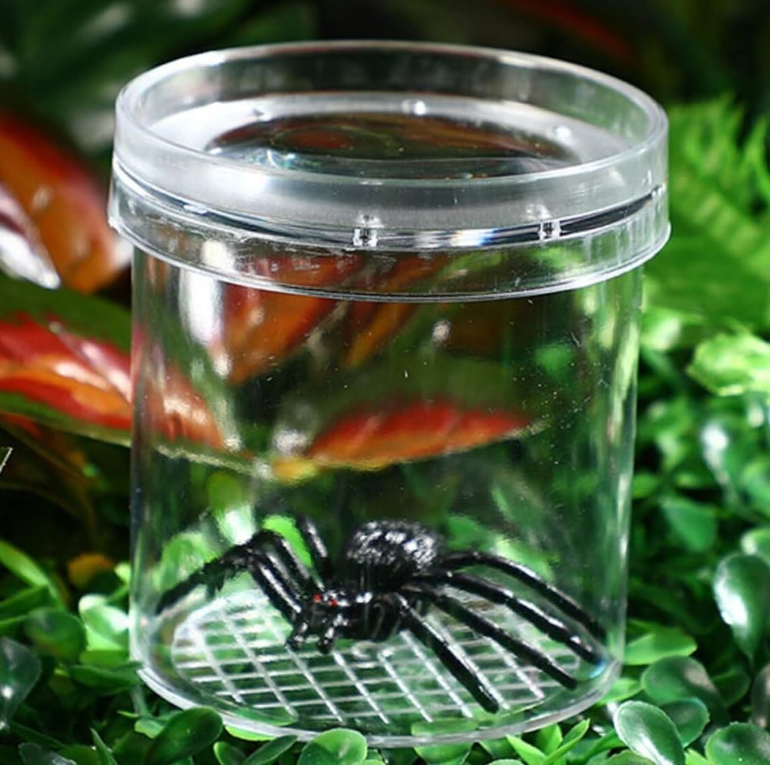 Zuchtbox, Transport, 9 Packs Insekten Beobachtung Tasse Zucht Box Pädagogisches Lernen Futterkoffer