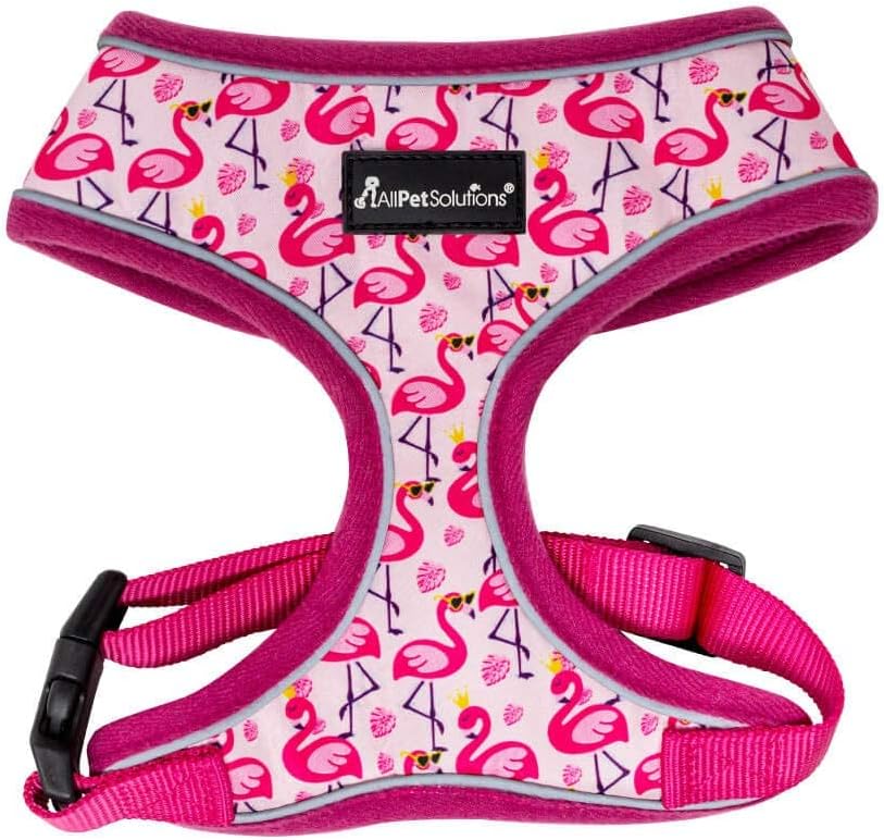 AllPetSolutions Dog Harness - Cool Pet Vest with Back D-Ring for Dog Lead Clips - Mesh Puppy Harness with Soft Padding - Training Stuff and Supplies for Small, Medium, Large Dogs - M, Pink Flamingos