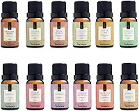 Kit 10 Essências Para Aromatizador Elétrico 10ml Via Aroma