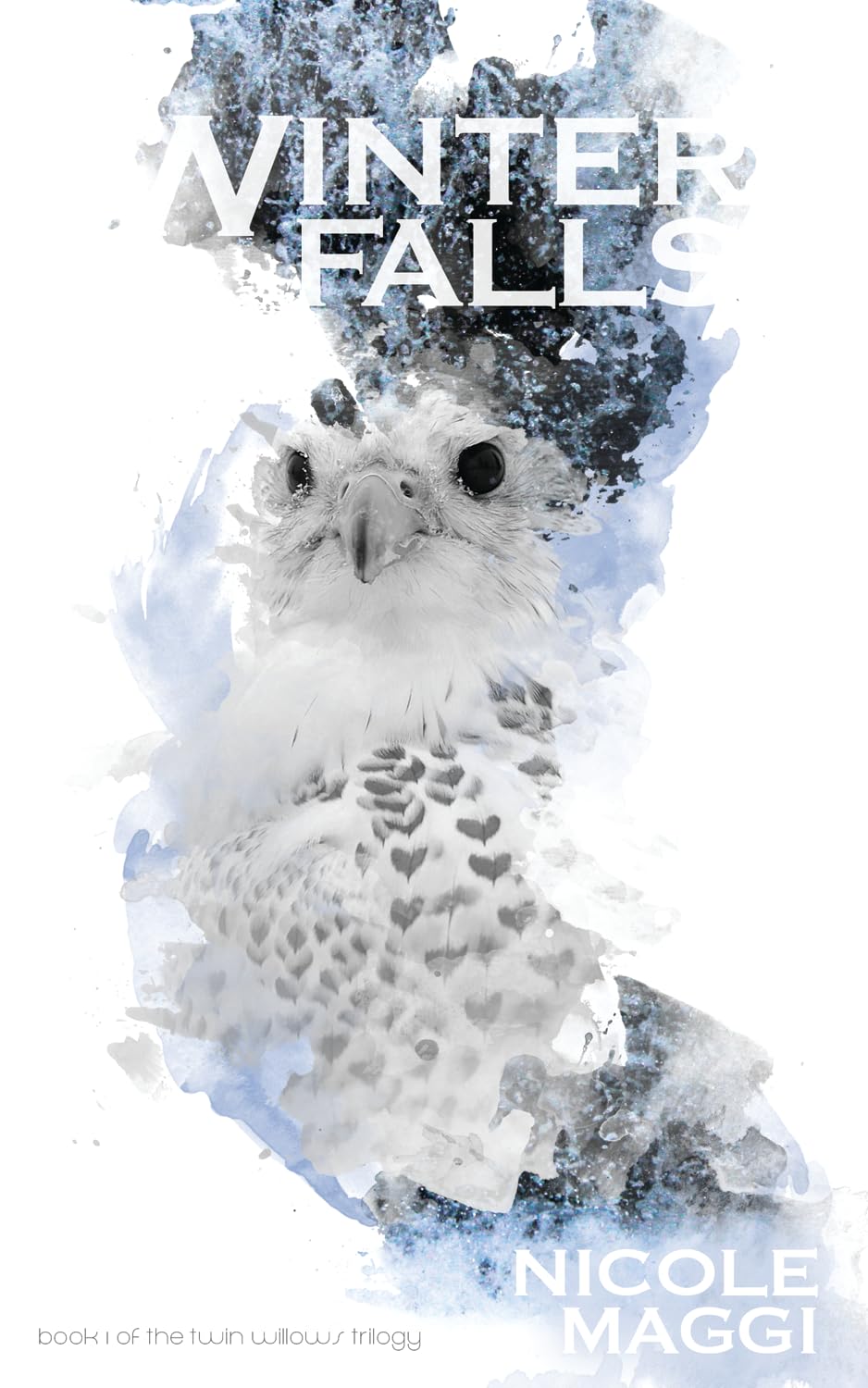 Buy Winter Falls (Twin Willows Trilogy) — BookShops.in