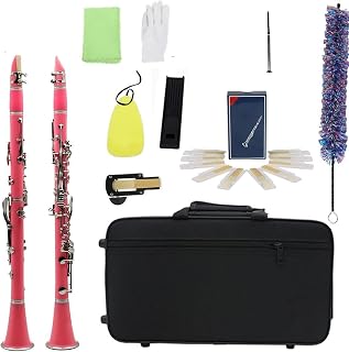 Clarinet para principiantes Clarinete Clásico De 17 Teclas B Clarinete Rosa Plano ABS Plateado Material De Llave Plateada Con Accesorios