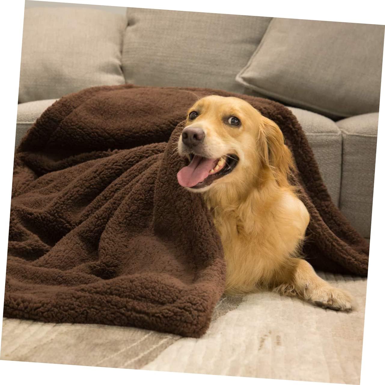 BESPORTBLE Comfortable Coffee Plush Pet Blanket for Dogs and Cats Soft Cushion Mat for Lightweight and Easy to Carry for Home Use and Travel