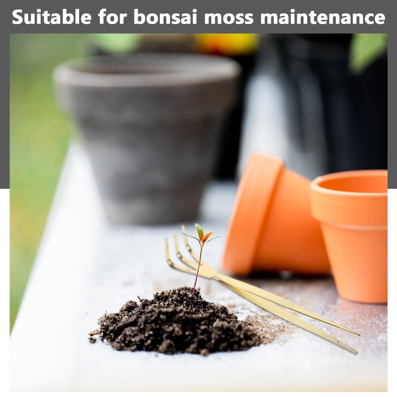 Levemolo Bonsai Tweezers Rake Plants Tweezers Convenient Planting Tweezers Portable Multifunctional Tweezers Multi-function Tweezers Bonsai Tree Tweezers Bonsai Tools Golden Stainless Steel