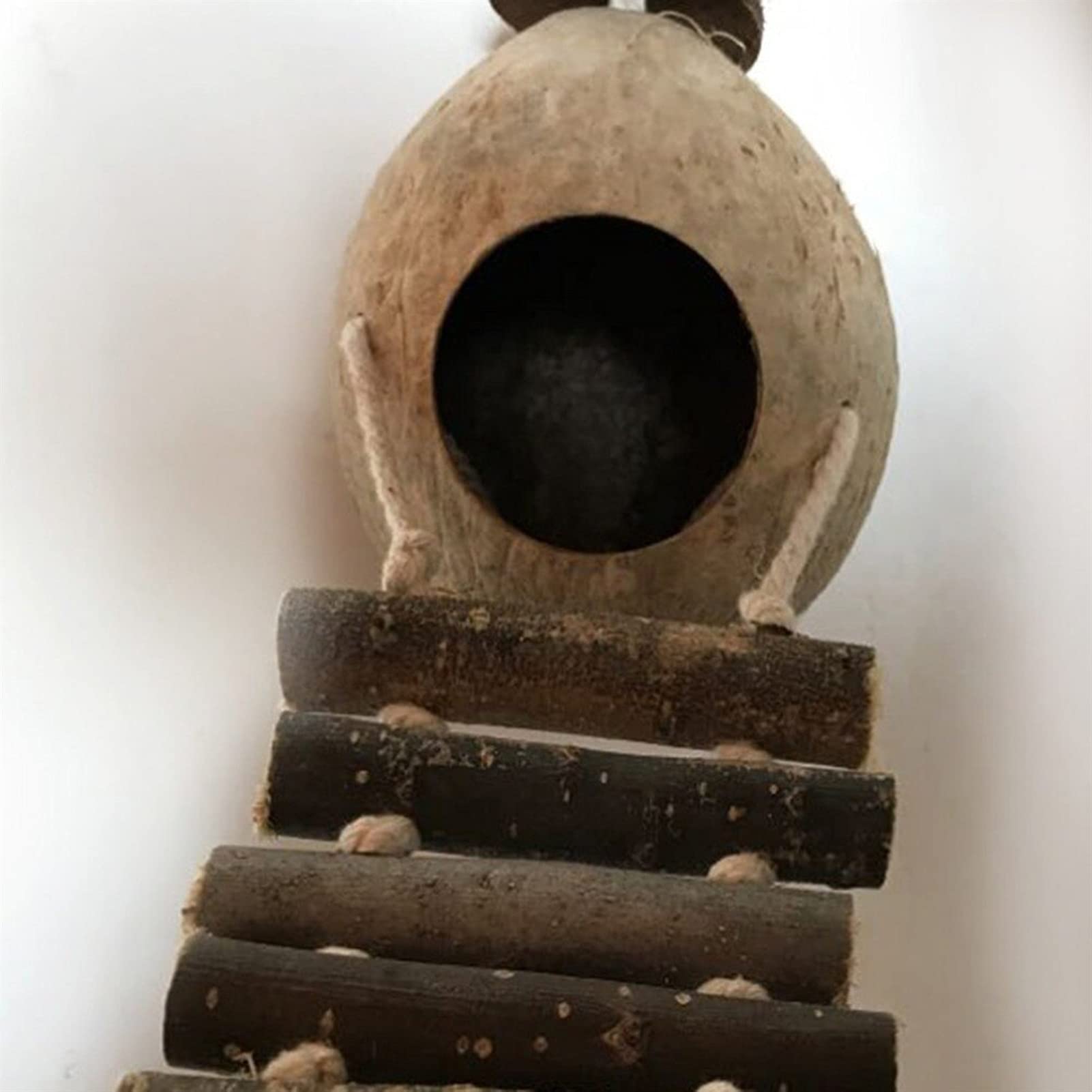 Casa para pájaros El Nido de pájaro con cáscara de Coco con Escalera se Puede Colgar en el jardín y el Patio para decoración, Lugar de Descanso y cría de pájaros