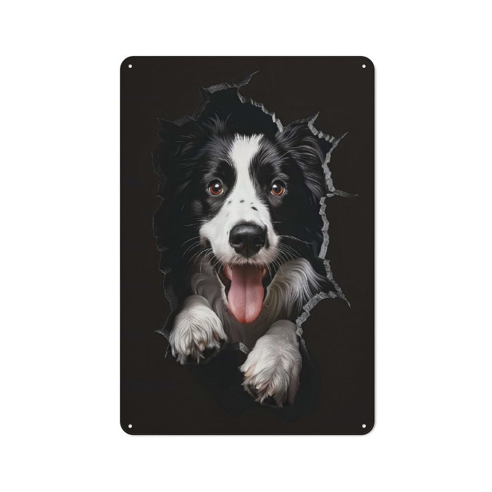 Junmoney Style-20 Metal Plaque 30X20cm With Border Collie Dog For Pub Or Café, Vintage Decor, For Metal Sign Collectors, For Vintage Wall Decor Fans