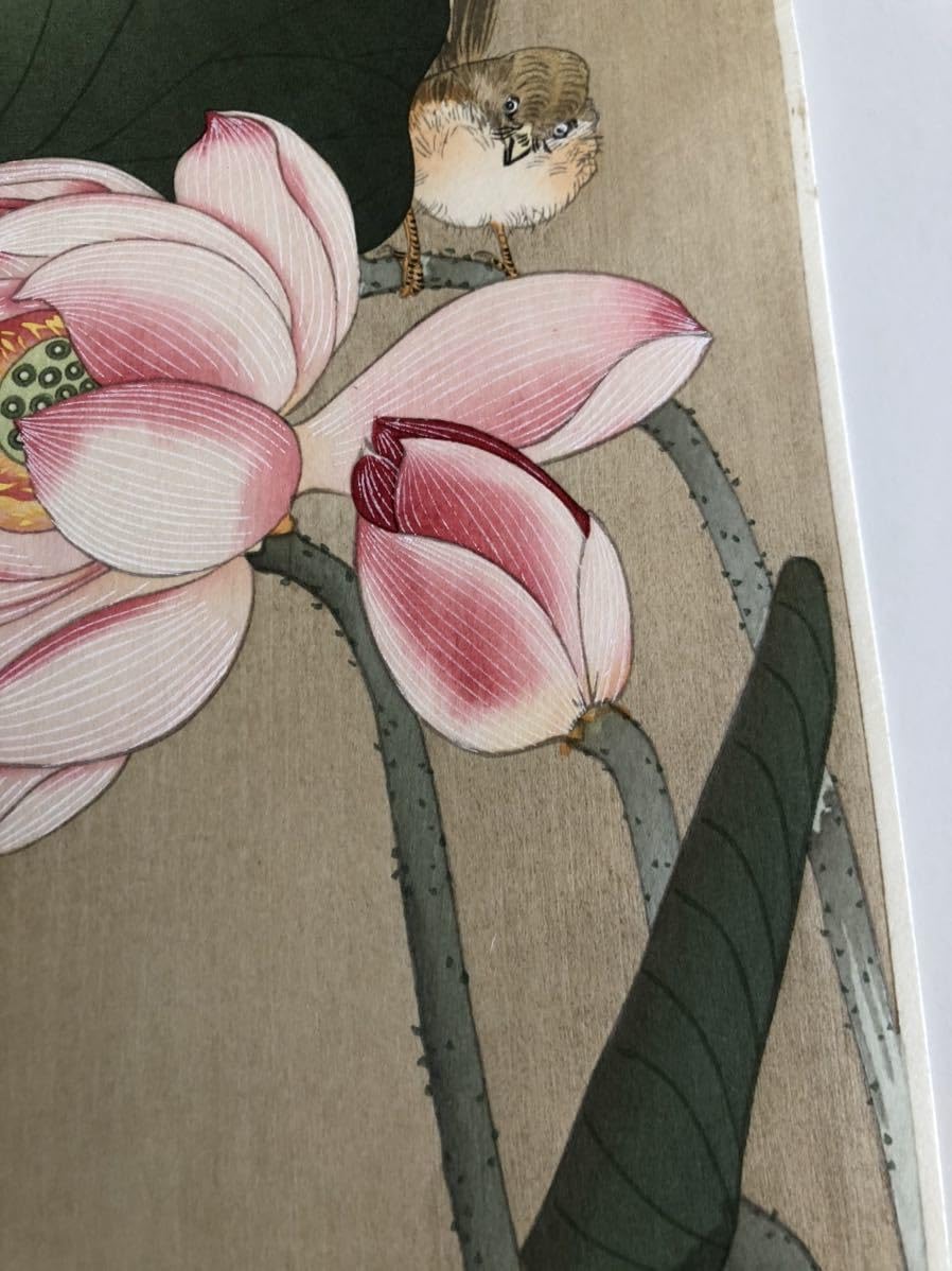 Amazon | 復刻版木版画 小原古邨 蓮に雀 花鳥画 新版画 小原祥邨