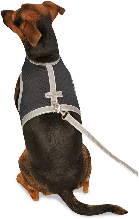 My Canine Kids Athletic Mesh Dog Vest Harness from Ghana Ubuy