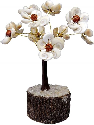 Numeroastro Árbol natural y original de Gomti Chakra con cuentas de Rudraksha Árbol de flores (7.1 in) (1 unidad), Piedra