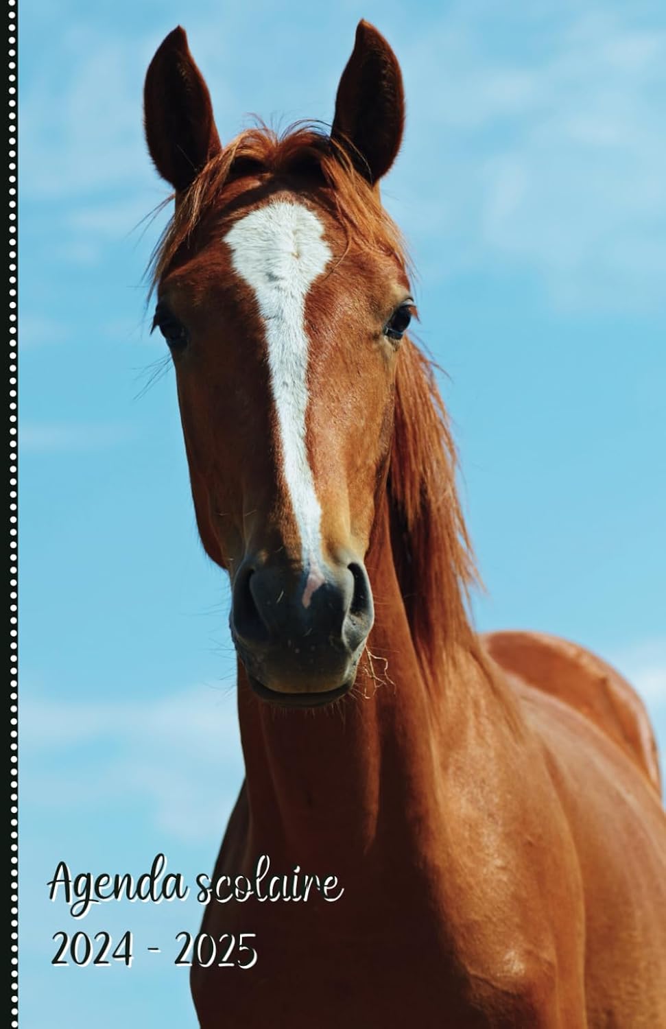 Agenda Scolaire 2024 2025 Cheval Organiseur Et Planificateur