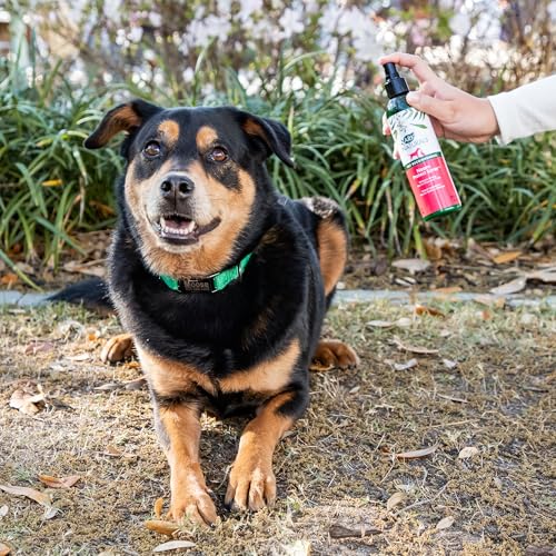 ARK NATURALS Neem Protect Spray, alivia coceira e irritação em gatos e cães, frasco spray de 227 g,