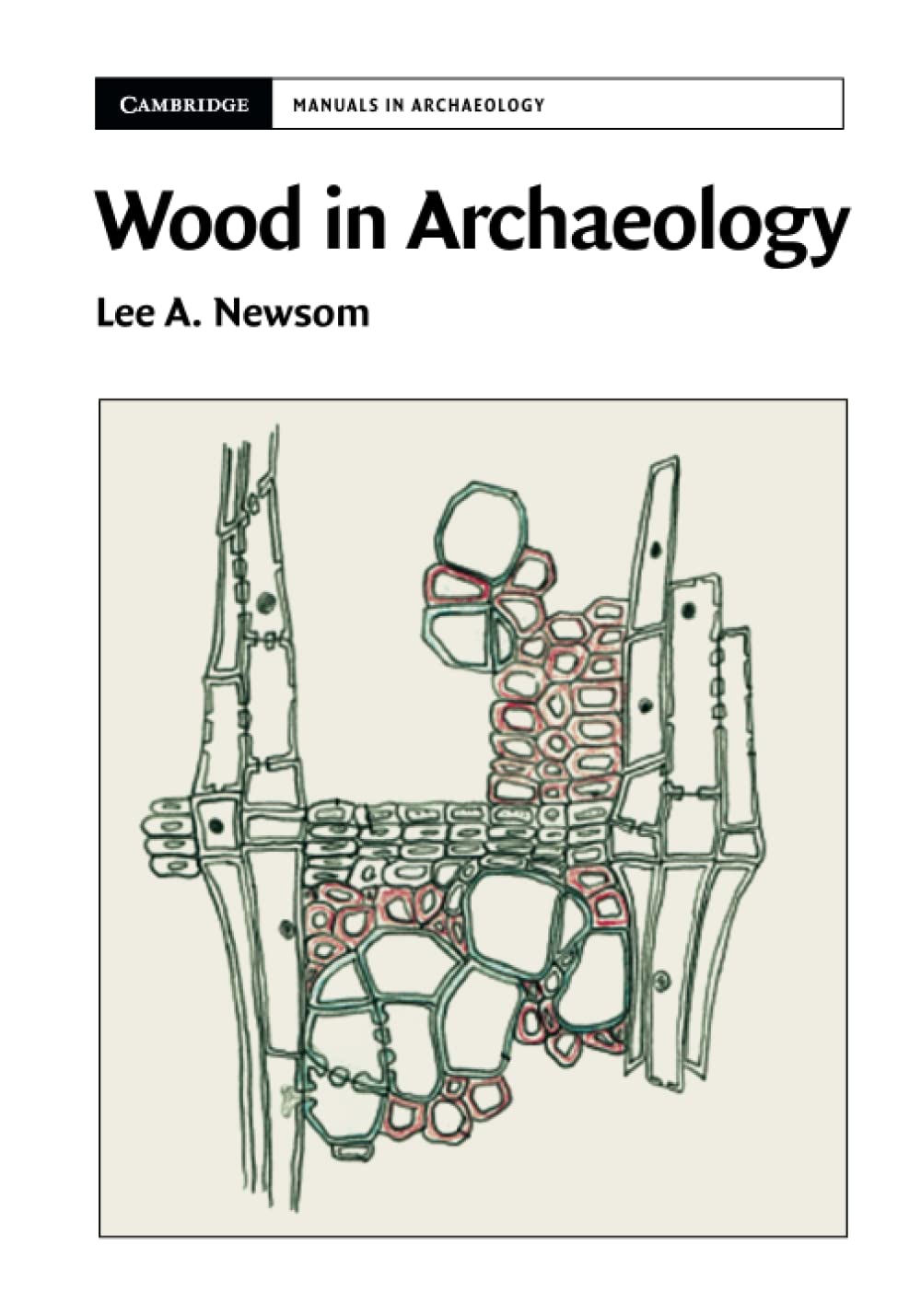 Wood in Archaeology (Cambridge Manuals in Archaeology)