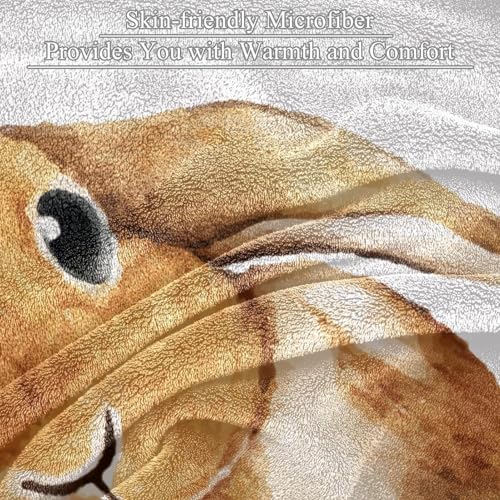 Couverture jeté de canapé lapin : le plaid doux idéal pour vos soirées cocooning - 3