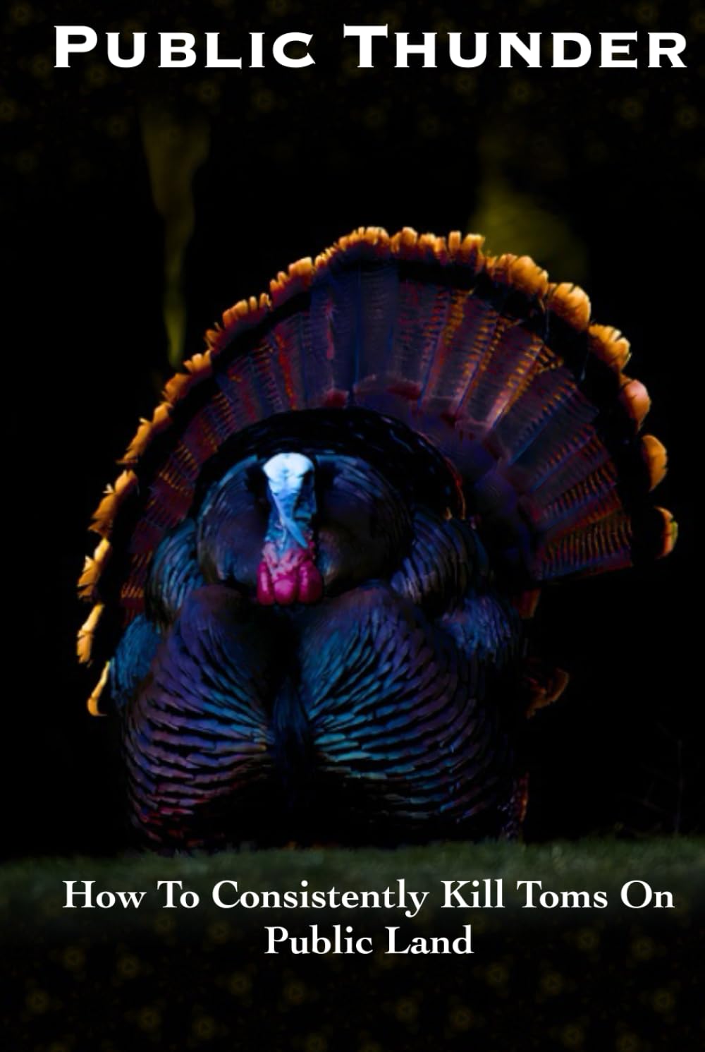 Public Thunder: How To Consistently Kill Toms On Public Land