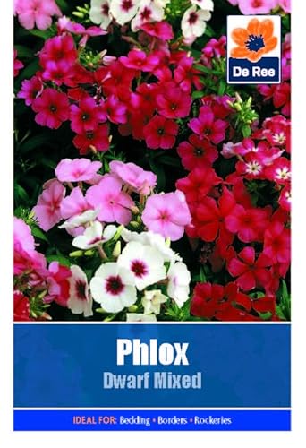 Phlox Dwarf Mixed - 55 Seeds Flower Plant Bedding Borders Containers Pots Grow Your Own Garden Plant Seed