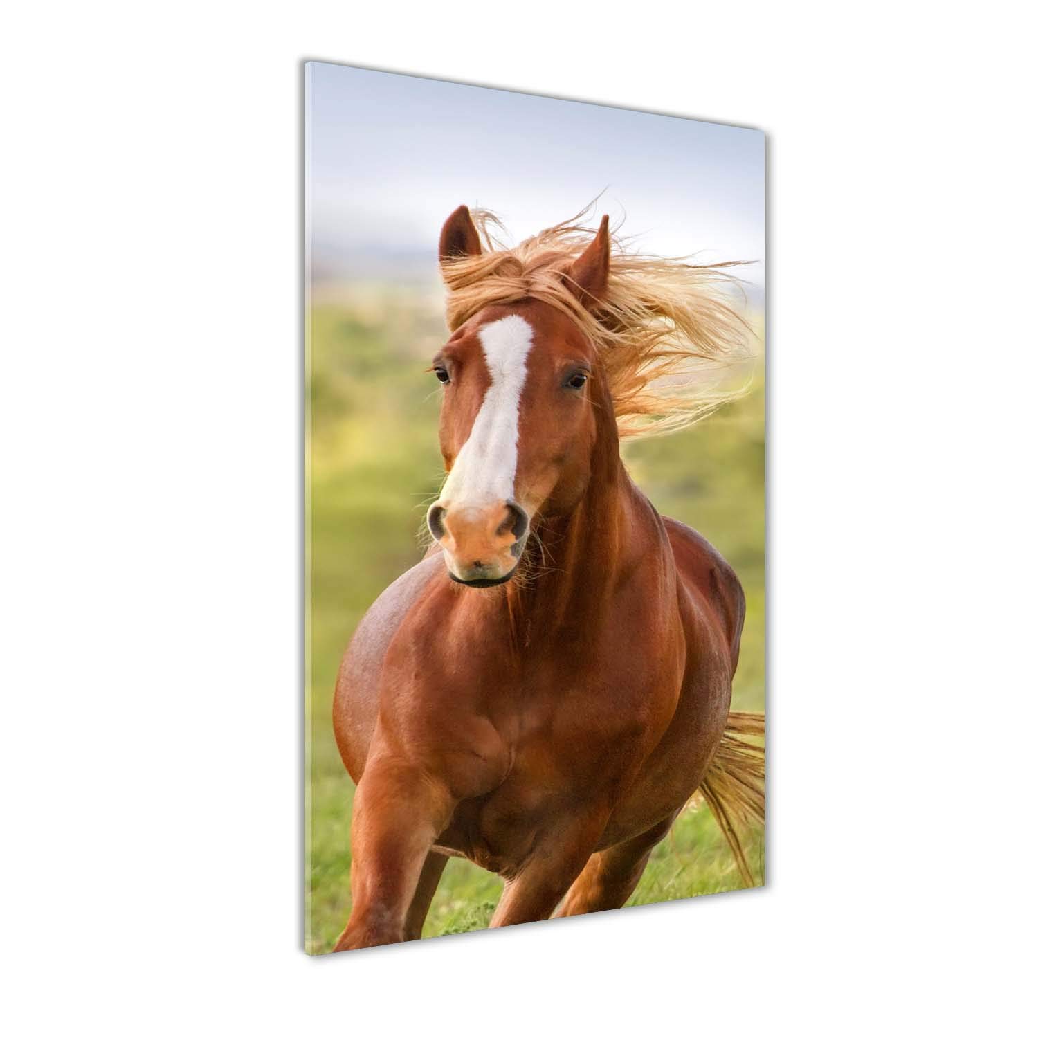 Tableau sur verre 60x120 cm pour masquer un mur vide avec une photo de cheval au galop