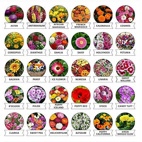 Afflorance Flower Seeds : Plant Seeds For Home Garden Flowers Combo of 30 Packet of Seeds Winter, Summer & Spring & All Season Garden Flower Seeds Pack (B07NYWBHPK) Amazon Price History, Amazon Price Tracker