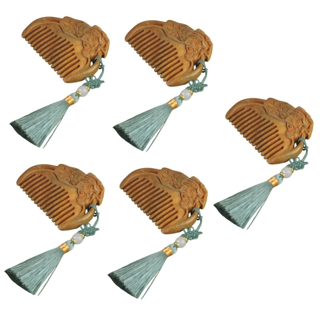 FRCOLOR 5 Cepillos De Madera Para El Cabello Extensión De Peinado Cepillo Para Cabello Humano Masaje Para Mujeres.