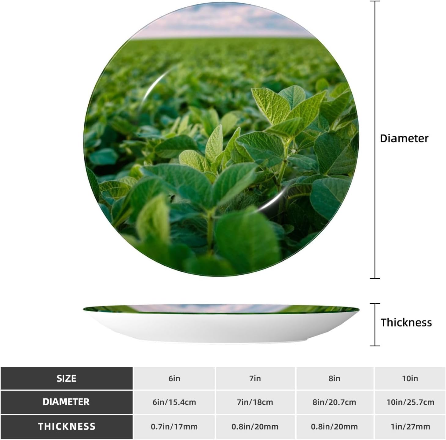 Decorative Plate 10in Bone China Dessert Plates with Display Stand Ceramic Ornament Ceramic Soybean Field Decorative Plates Art Crafts Porcelain Plate for Home Club Living Room