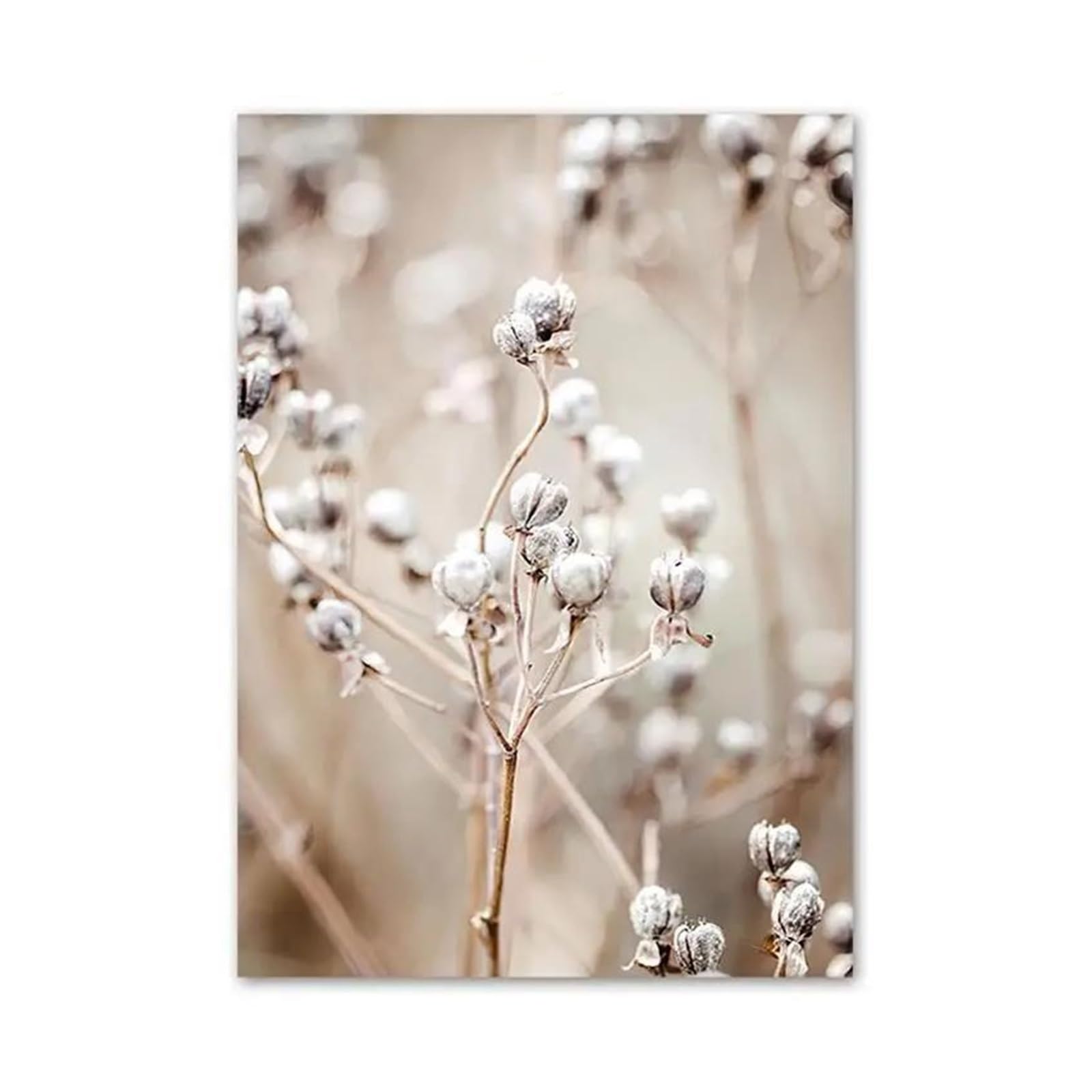 Byambd D Byamb Aesthetic Pictures Beige Mushroom Cotton Ree Grains Of San Posters Print Wall Art Aesthetics Canvas Painting For Living Room Modern Home Ecor(,40X50cm)