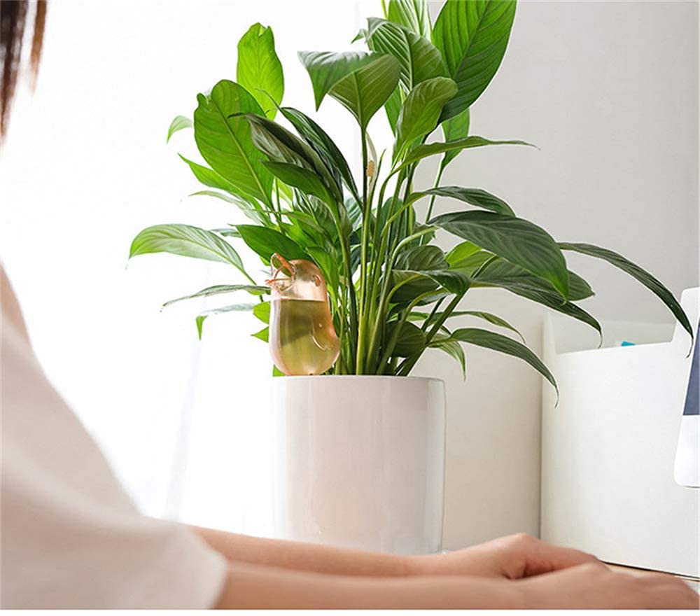 Bird Shape Clear Plant Waterer ,Clear Self Watering Devices Globes , Auto Watering Spikes for Plants Indoor Outdoor Decorative Garden Irrigation System Self Watering Planter Automatic Dripper (4 pack)