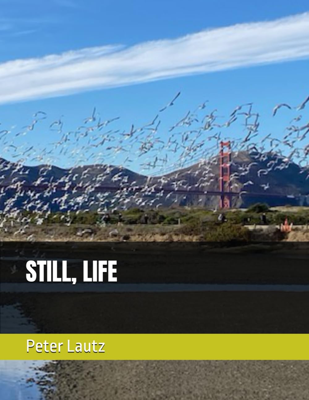 STILL, LIFE